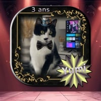 Photo de Yumi