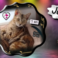 Photo de Jane