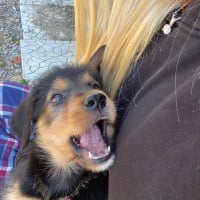 Photo de Zuko