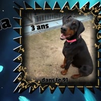 Photo de Gallia