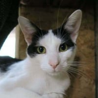 Photo de TAFFY
