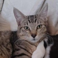 Photo de ARLO