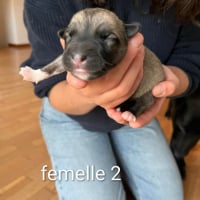 Photo de Vaya