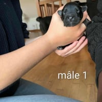 Photo de Benni