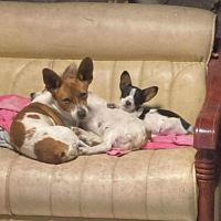 Photo de Azaé et Muffin