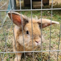 Photo de Spiky
