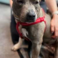 Photo de NALA 
