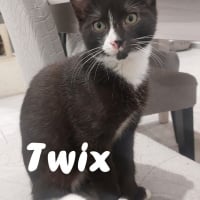 Photo de Twix
