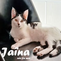 Photo de Jaïna