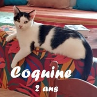 Photo de Coquine