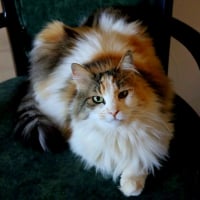 Photo de Lilou