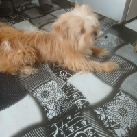 Photo de Ludwig 