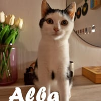 Photo de Alba