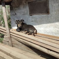 Photo de Héra 