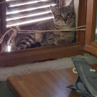 Photo de Aloha