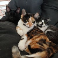 Photo de Louna & Maya