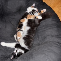 Photo de Maya et Louna