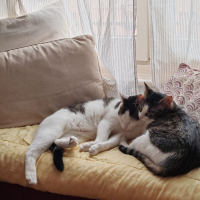 Photo de Mia et Moka