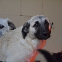 Photo de Erik et Erin