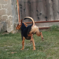 Photo de bouille d'amour