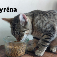 Photo de SYSSY & SYRENA