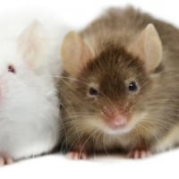 Photo de Blandine et Eulalie 