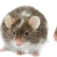 Photo de Madeleine et Adèle