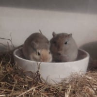 Photo de Ben et Nuts