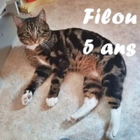Photo de Filou