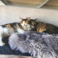 Photo de Chonchon et Umpala