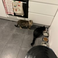 Photo de DAISY et LILOU