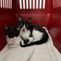 Photo de Kiri et Suzi