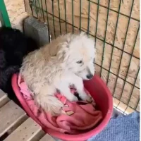 Photo de LADY SUNSHINE