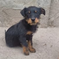 Photo de Inima