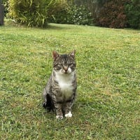 Photo de Griboulle