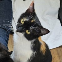 Photo de Freya