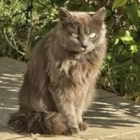 Photo de Diva