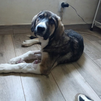 Photo de NAMI