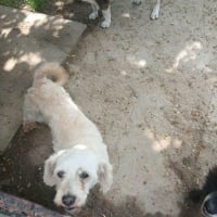 Photo de Sashaa