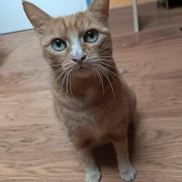 Photo de NANA