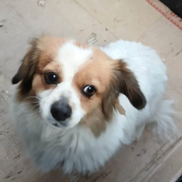 Photo de Rosita