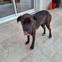 Photo de BOUNTY