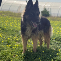 Photo de LOLA