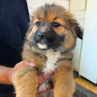 Photo de LIA