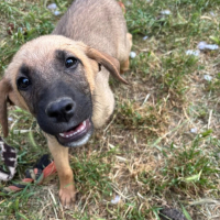 Photo de Lailo