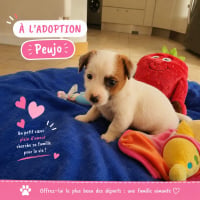 Photo de Peujo