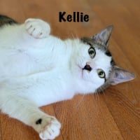 Photo de KELLIE