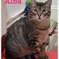 Photo de Alba