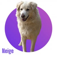 Photo de NEIGE