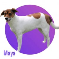 Photo de MAYA